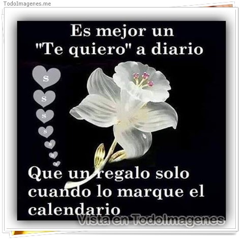 imagen de 126-20161009-164248
