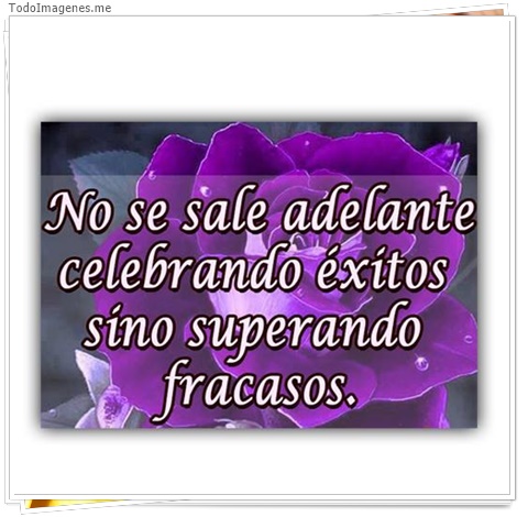 imagen de 3122-20160302-033914
