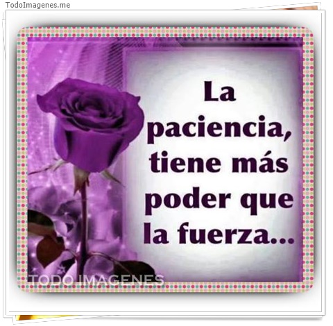 imagen de 4050-20160302-033956