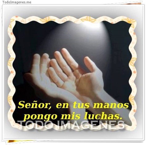imagen de 10922-20160302-034636