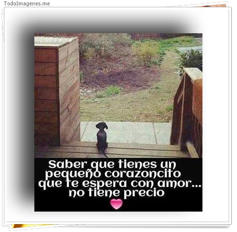 imagen de 1264-20160302-033749