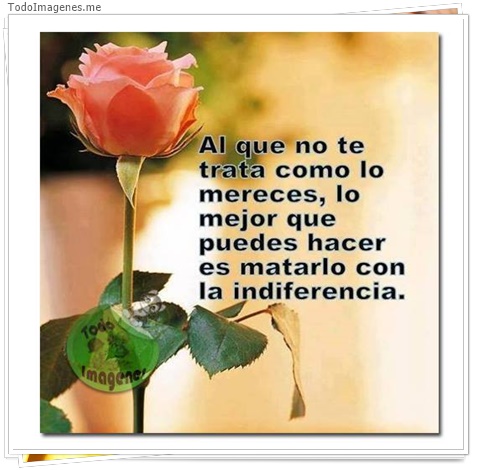 imagen de 1199-20160302-033747