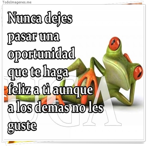 imagen de 4152-20160302-034000