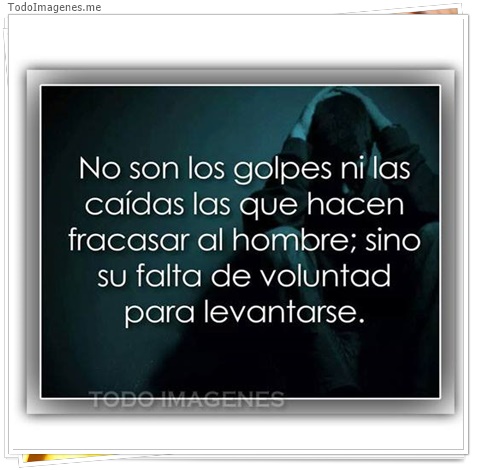imagen de 7973-20160302-034308