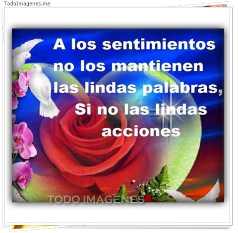 imagen de 8734-20160302-034401