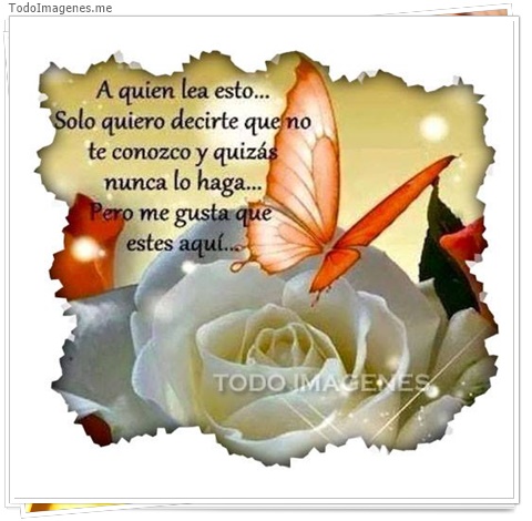 imagen de 9441-20160302-034446