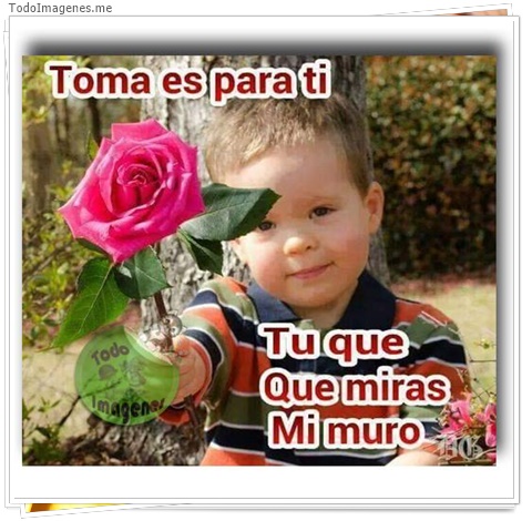 imagen de 1061-20160302-033740