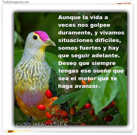 imagen de 3465-20160302-033930