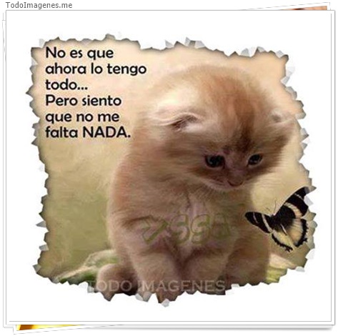 imagen de 2893-20160302-033903