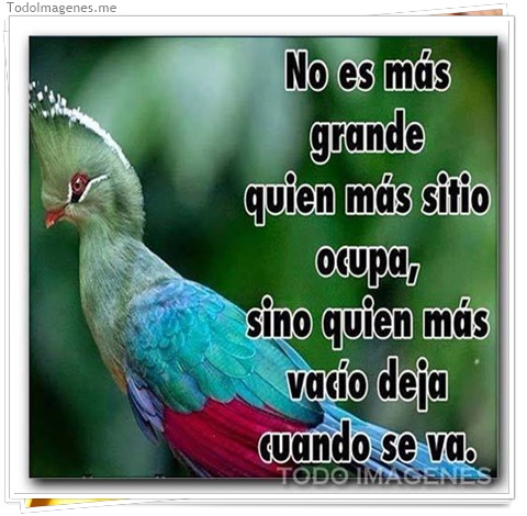 imagen de 372-20160810-120303