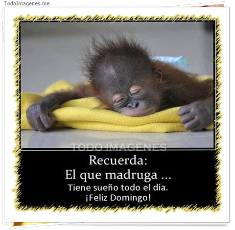imagen de 6732-20160302-034158