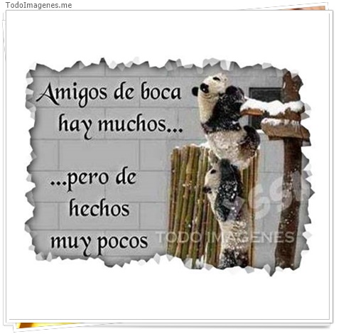 imagen de 4638-20160302-034022