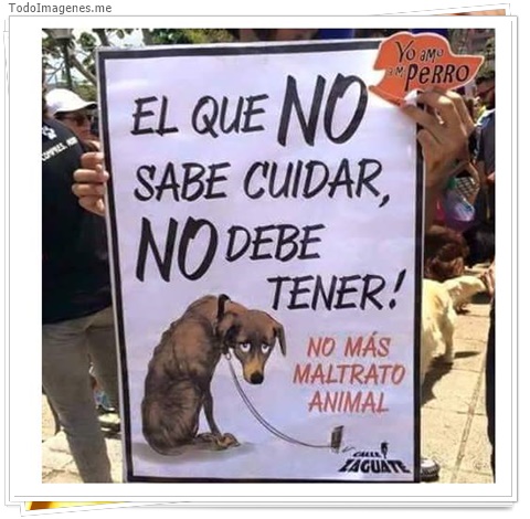 imagen de 2167-20160302-033830