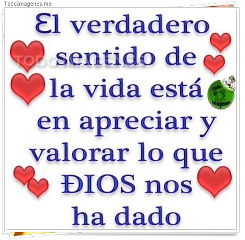 imagen de 6851-20160302-034203