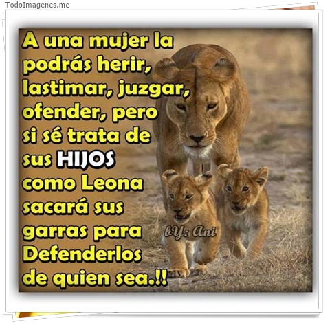 imagen de 1552-20160302-033802