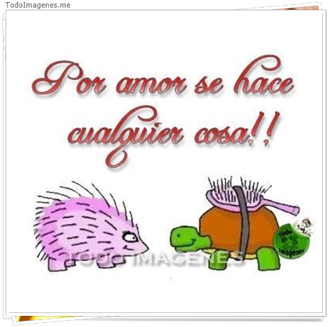 imagen de 4419-20160302-034012