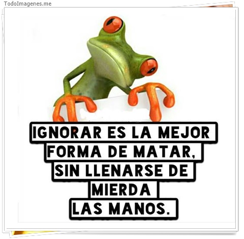 imagen de 4319-20160302-034008