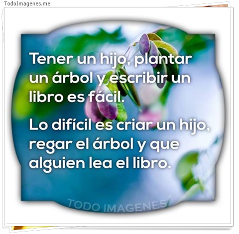 imagen de 9749-20160302-034508