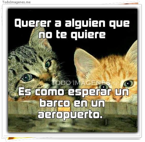 imagen de 3297-20160302-033922