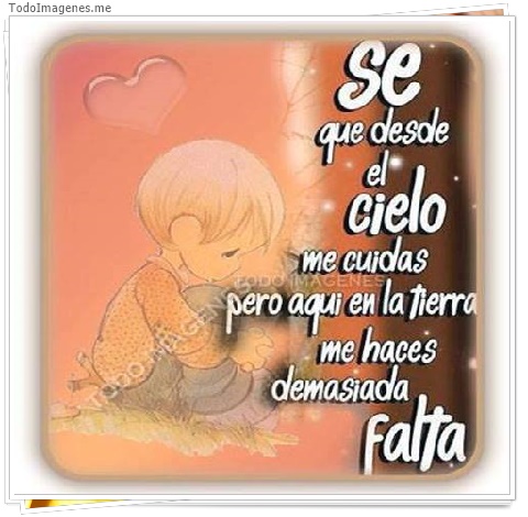 imagen de 492-20160509-130744
