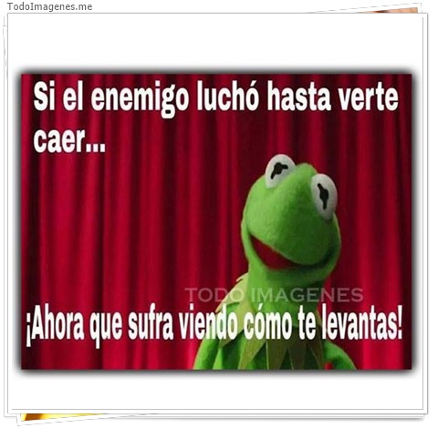 imagen de 7981-20160302-034309