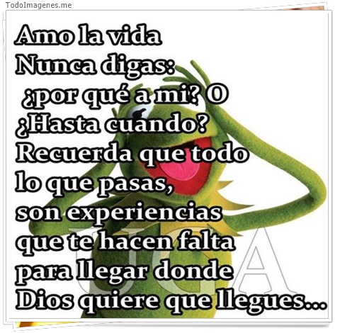 imagen de 1416-20160302-033756