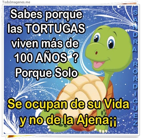 imagen de 1116-20160302-033743