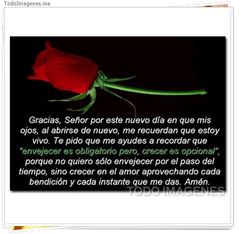 imagen de 3489-20160302-033931