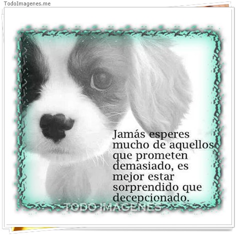 imagen de 8285-20160302-034330
