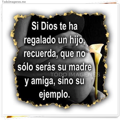 imagen de 11583-20160302-034720