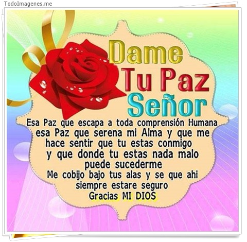 imagen de 8153-20160302-034322