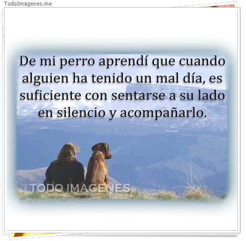 imagen de 5223-20160302-034048