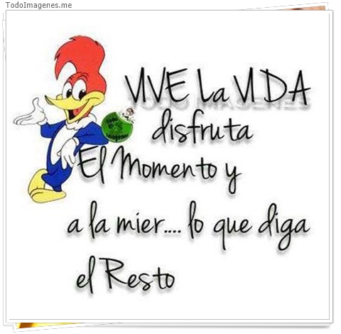 imagen de 9766-20160302-034509