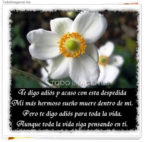 imagen de 5546-20160302-034103