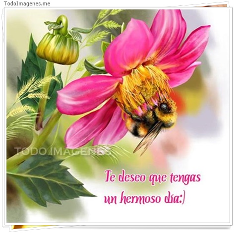 imagen de 8924-20160302-034413