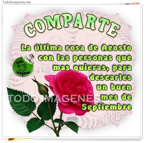 imagen de 2560-20160302-033847