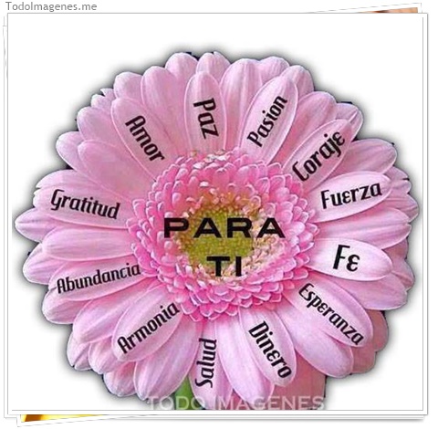 imagen de 144-20160810-120254