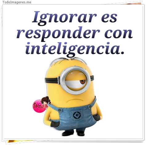 imagen de 2459-20160302-033843