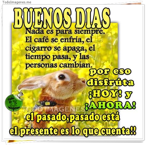 imagen de 5597-20160302-034105