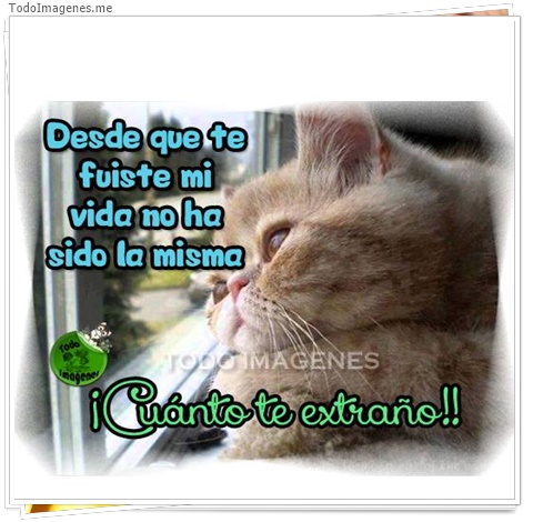 imagen de 4583-20160302-034019