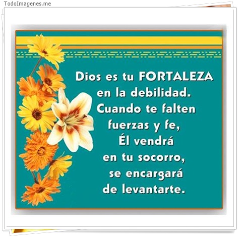 imagen de 4862-20160302-034031