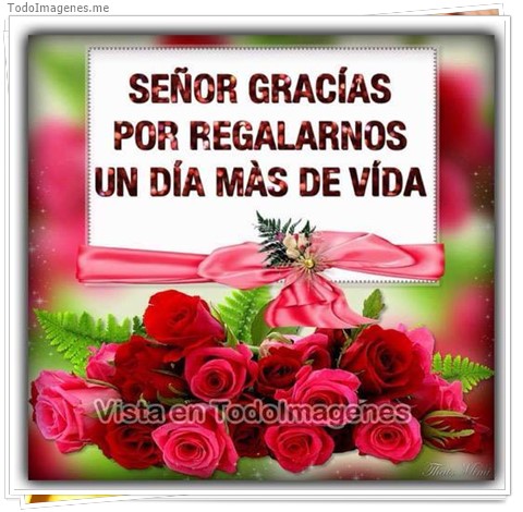 imagen de 056-20161018-195224