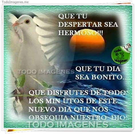 imagen de 011-20161115-213005