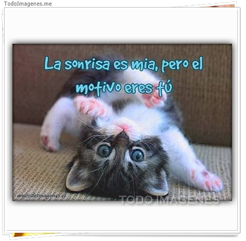 imagen de 7487-20160302-034238