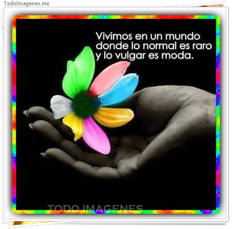 imagen de 5921-20160302-034120