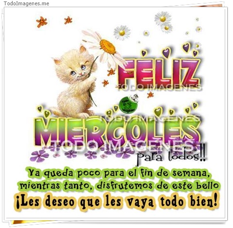 imagen de 11586-20160302-034720