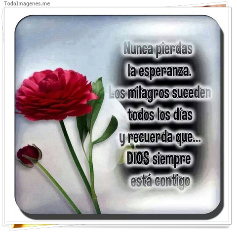 imagen de 5319-20160302-034052