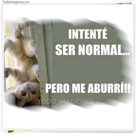 imagen de 6588-20160302-034151