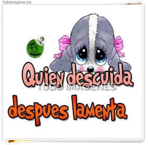 imagen de 2442-20160302-033842