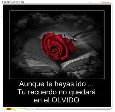 imagen de 4014-20160302-033954